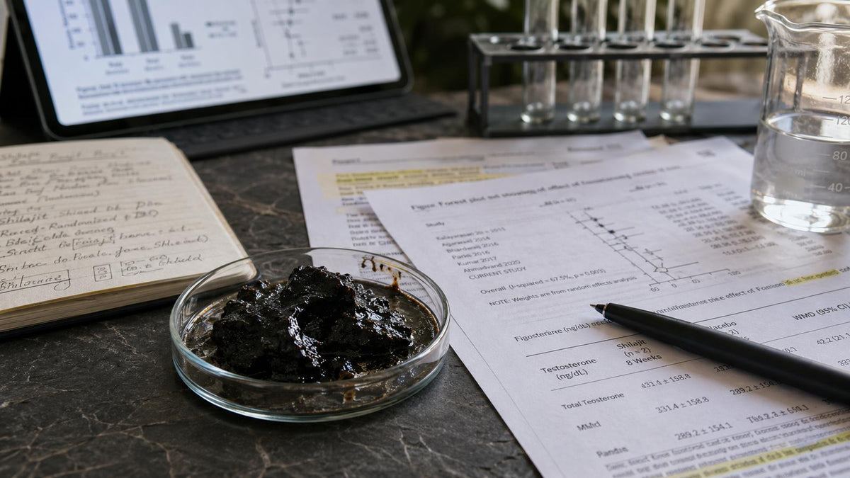Shilajit und Testosteron: Was  Klinische Studien Wirklich Zeigen  (Ehrliche Analyse 2026)