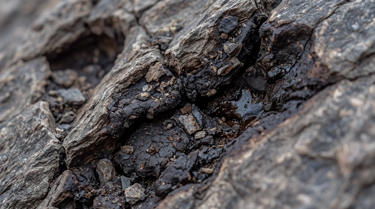 Close-up of raw shilajit resin seeping from cracks in mountain rock